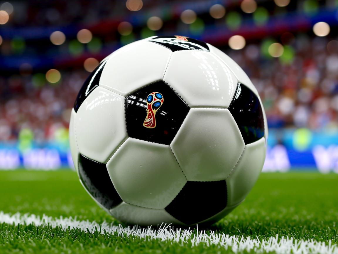 kaiyun开云体育-体测平台接入家庭终端便于亲子数据对比，体测易平台  第3张